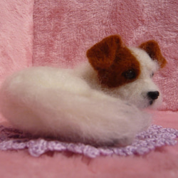 羊毛フェルト　犬　ジャックラッセル 3枚目の画像