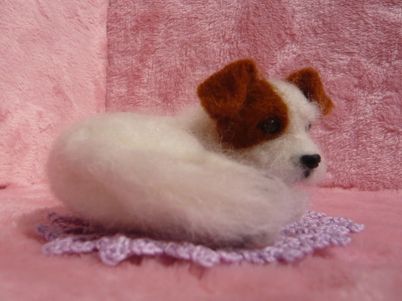 羊毛フェルト　犬　ジャックラッセル 3枚目の画像