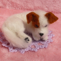 羊毛フェルト　犬　ジャックラッセル 5枚目の画像