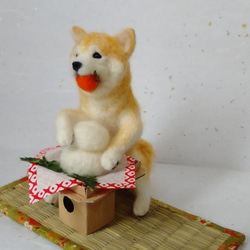 いたずら初め柴ちゃん　鏡餅　お正月飾り　犬　柴犬 2枚目の画像