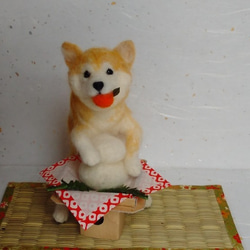 いたずら初め柴ちゃん　鏡餅　お正月飾り　犬　柴犬 4枚目の画像