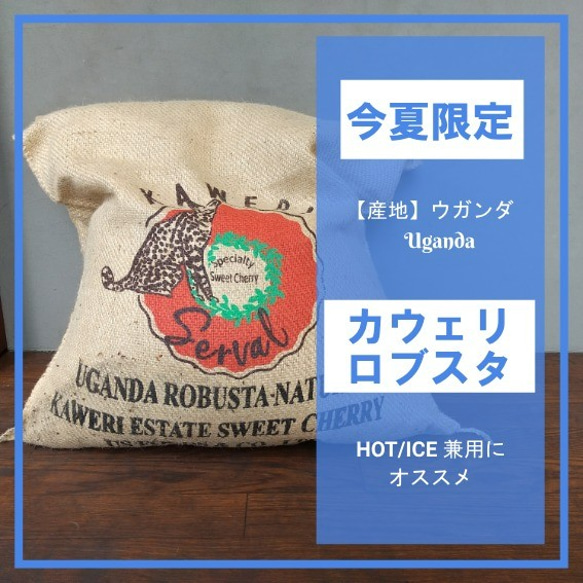 今夏限定販売】カウェリ ロブスタ＜ウガンダ＞ コーヒー豆 コーヒー