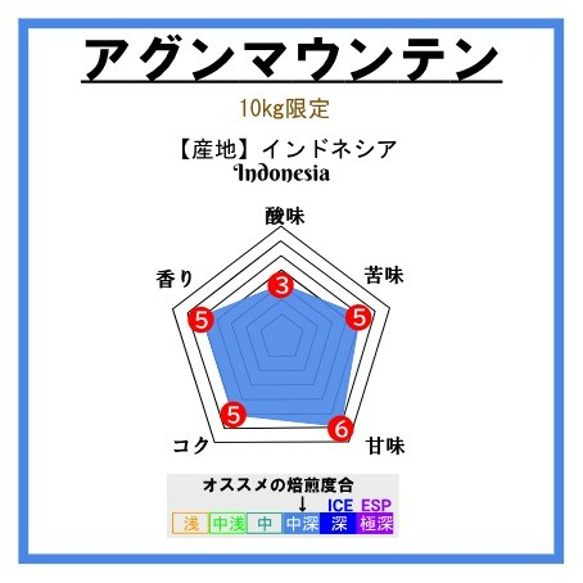 【※再入荷※在庫限り】アグンマウンテン　＜インドネシア＞ 1枚目の画像