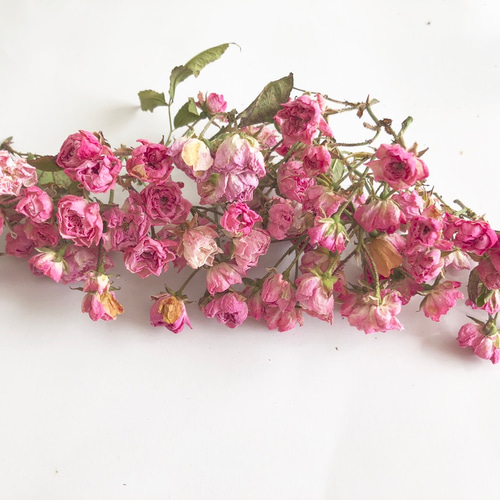 ☆ドライフラワー☆薔薇ピンク☆ミニ☆25本☆花材☆枝付き☆ その他
