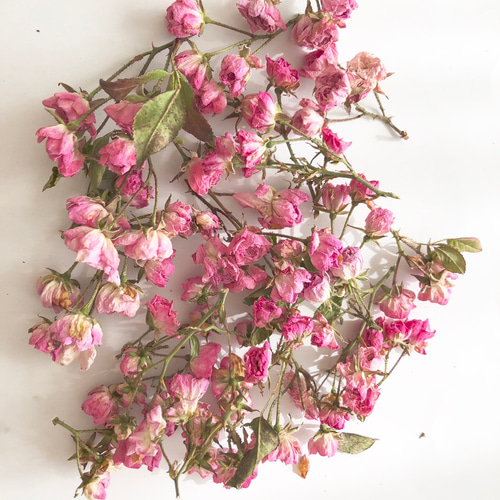 ☆ドライフラワー☆薔薇ピンク☆ミニ☆25本☆花材☆枝付き☆ その他
