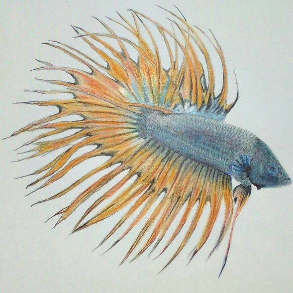 ☆ペットの似顔絵☆色鉛筆☆観賞魚☆小動物☆わんちゃん☆B5☆ 1枚目の画像