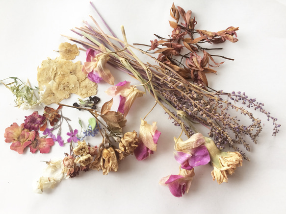 ☆ドライフラワー☆いろいろセット☆薔薇&忘れな草&デンファレ