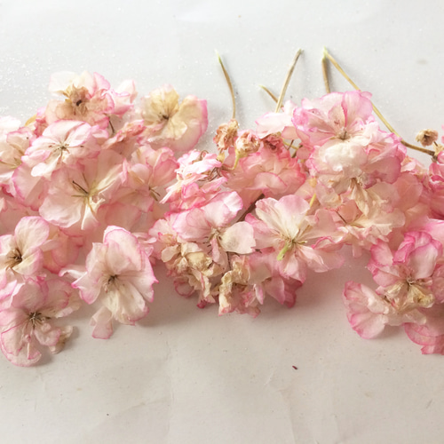 ドライフラワー❇️スタンダード バラ❣️ピンク系 ☆ドライフラワー☆ゼラニウム☆ピンク☆ヘッド17個☆枝付き7本☆バラ