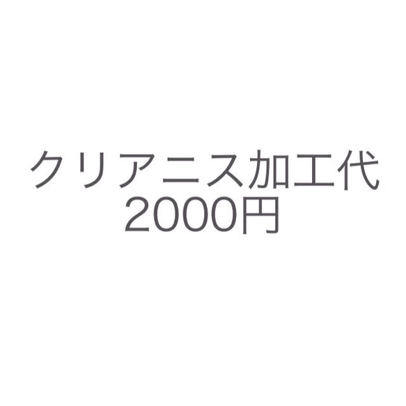 クリアニス加工代金+2000円 1枚目の画像