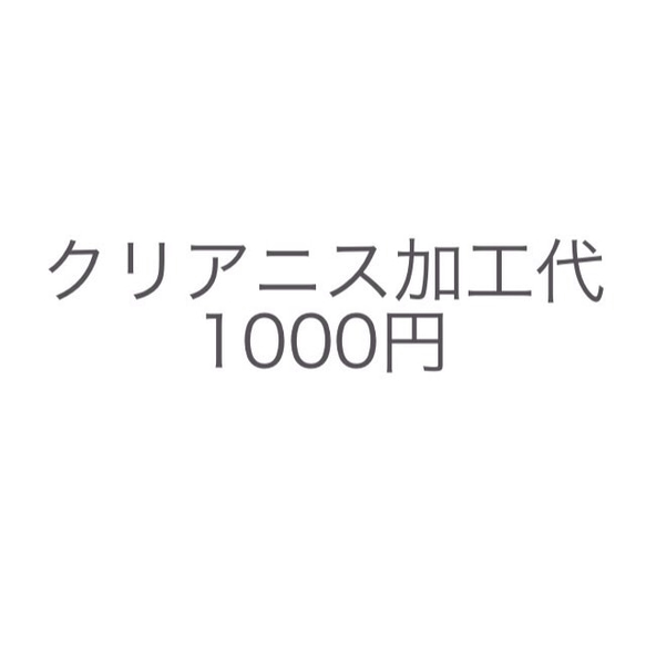 クリアニス加工代金+1000円 1枚目の画像