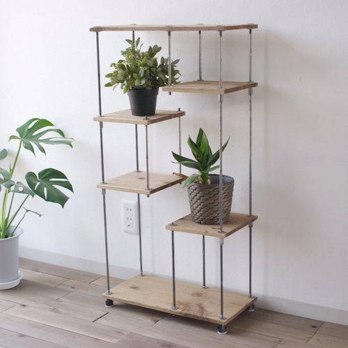 植物ラック　ikoku 植物ラックikoku