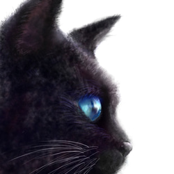 空色の瞳の黒猫A4ポスター 2枚目の画像