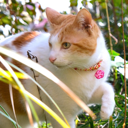 【チャーム】水引 あわじ結び(美)　アクセサリー雑貨・猫首輪チャーム 5枚目の画像