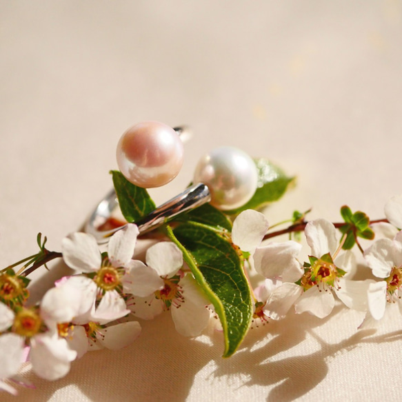 [一種物品] Akoya珍珠杏粉紅色玫瑰和冷水邊戒指大珍珠[Creema限量版] 第4張的照片