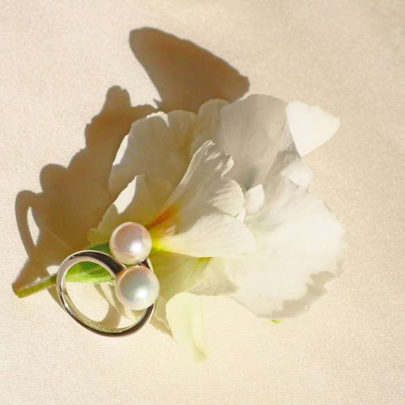 [一種物品] Akoya珍珠杏粉紅色玫瑰和冷水邊戒指大珍珠[Creema限量版] 第10張的照片