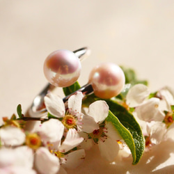 [一種物品]大珍珠Akoya珍珠生活在天堂花花珍珠中的薰衣草和漿果戒指[Creema limited] 第7張的照片