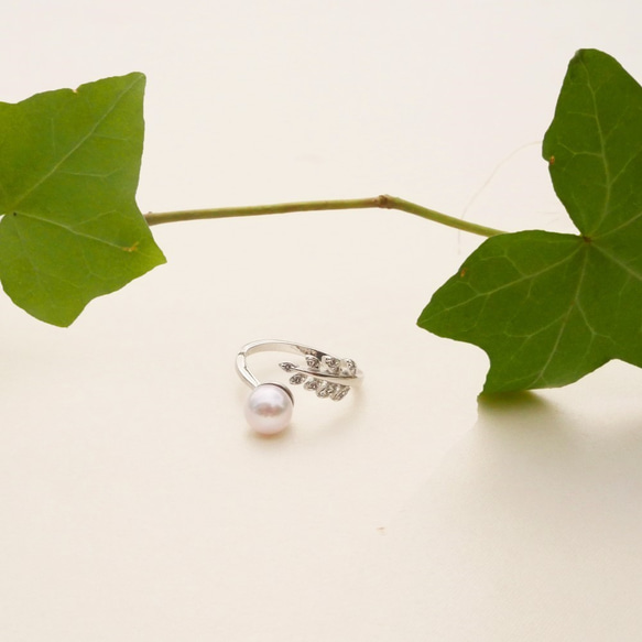 【送料無料】あこや真珠 と ジルコニア の 葉っぱのリング《シルバーカラー》 選べるパール  オープンリング【保証書付】 5枚目の画像