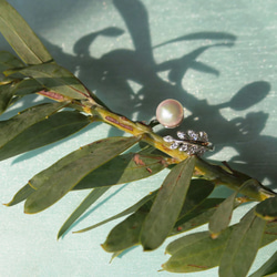 【送料無料】あこや真珠 と ジルコニア の 葉っぱのリング《シルバーカラー》 選べるパール  オープンリング【保証書付】 6枚目の画像