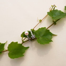 【送料無料】あこや真珠 と ジルコニア の お花のリング サイズフリー SV925 オープンリング 指輪【保証書付】 7枚目の画像