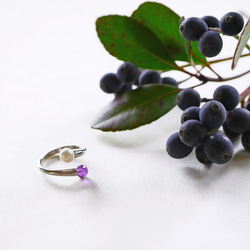 [免運費] Akoya 珍珠紫水晶 x 珍珠雙戒指二月生日石免費尺寸秋季等待戒指 [有保修] 第9張的照片
