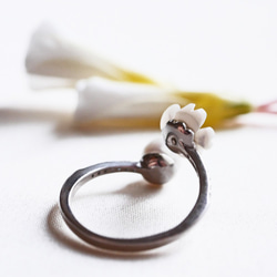 [免運費] Akoya 珍珠白色野花和花蕾戒指尺寸免費 SV925 開口戒指 第9張的照片