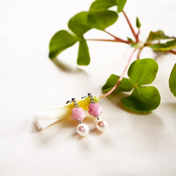 【Creema Limited】櫻花色珍珠櫻花海螺貝耳環/耳環 SV925 春季粉色 第7張的照片