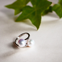 [單點] Akoya珍珠在夏季的Akebei戒指兩色戒指自由尺寸大顆粒珍珠雙戒指[Creema limited] 第8張的照片
