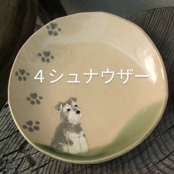 選べる犬丸皿(受注制作) 6枚目の画像
