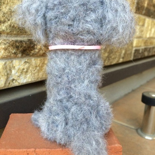 羊毛フェルト　トイプードル　グレー トイプードル（シルバー グレー）の羊毛フェルト 犬 羊毛