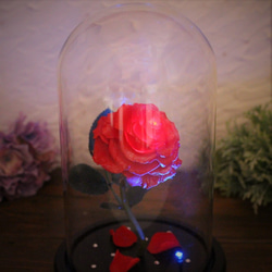 ガラスの中の光るバラ ～美女と野獣  ≪Red≫ 誕生日 記念日 結婚祝い 母の日 プリザーブドフラワー 3枚目の画像