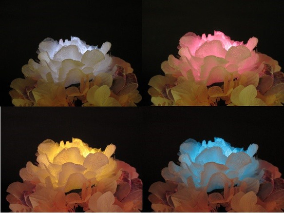 光る花　フェミニンピオニー 5枚目の画像