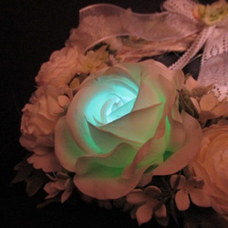 閃亮的玫瑰⚘天然租賃 第1張的照片