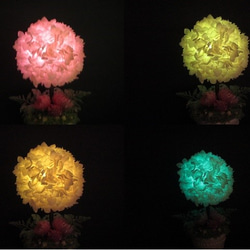 發光在各種顏色的繡球花題目 第2張的照片