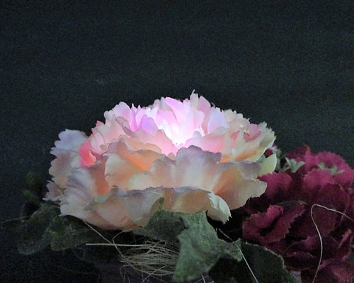 0_f41cd5e3c0781783ff553183247f