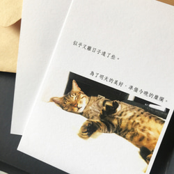 明日の美しさ|詩の作成詩カード/カード/ポストカード/ストーリーカード温清猫少女癒しのオフィス研究小さなもの写真 2枚目の画像