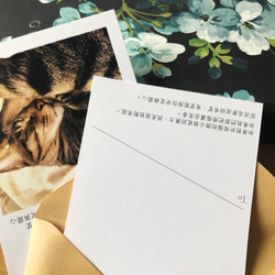 悩みを散らす｜新詩・詩カード・カード・ポストカード・温清・癒し・猫・ペット 1枚目の画像