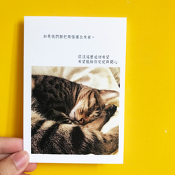 悩みを散らす｜新詩・詩カード・カード・ポストカード・温清・癒し・猫・ペット 2枚目の画像