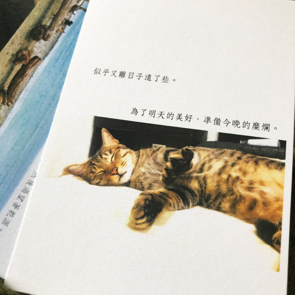 [グループに85倍]新詩詩カード/カード/ポストカード温清/ヒーリング/ジュエリー/写真猫/海/街黒と白 6枚目の画像