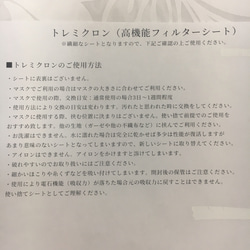 数量限定 高機能フィルター付き ハワイアンマスク ① 5枚目の画像