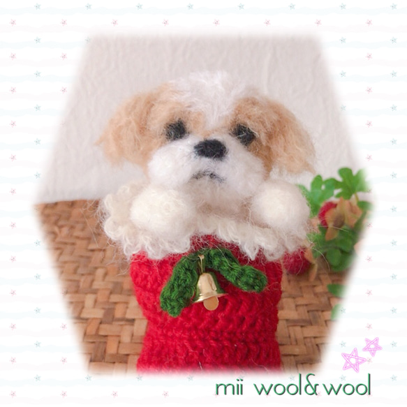 シーズー♡クリスマスわんこ　クリスマス限定毛糸わんこ(mii wool&wool) 1枚目の画像