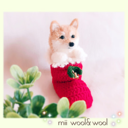 シーズー♡クリスマスわんこ　クリスマス限定毛糸わんこ(mii wool&wool) 6枚目の画像