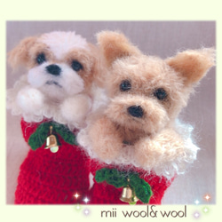 ボーダーコリー♡クリスマスわんこ　クリスマス限定毛糸わんこ(mii wool&wool) 4枚目の画像