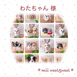 わたちゃん様専用♡毛糸わんこ『うちの子オーダー』 (mii wool&wool) 3枚目の画像