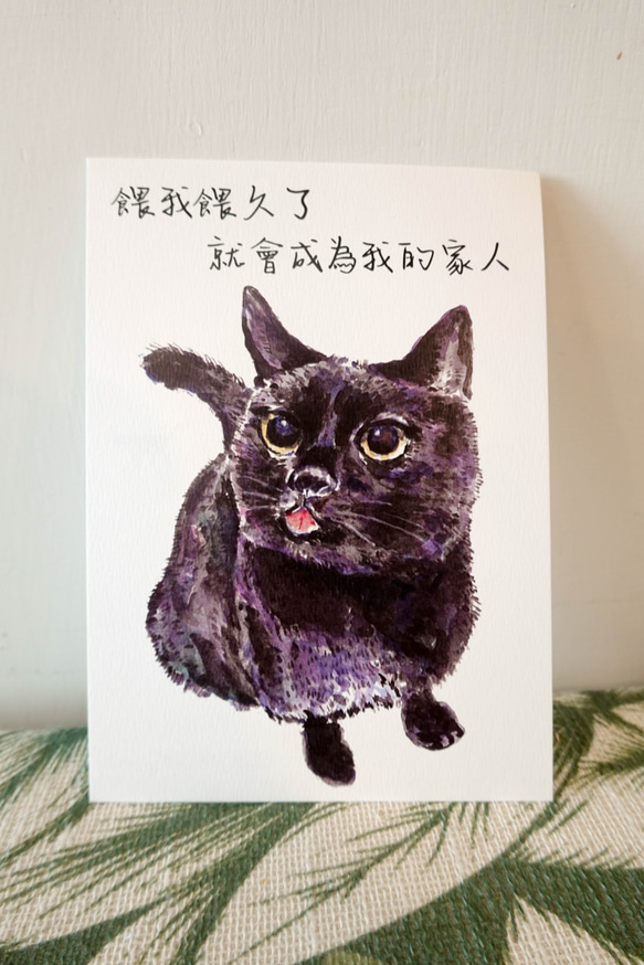 猫の手描きはがき-長い間私を養ってください、それは私の家族になります 1枚目の画像