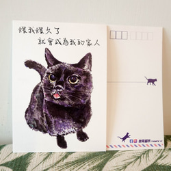 猫の手描きはがき-長い間私を養ってください、それは私の家族になります 3枚目の画像