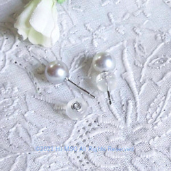 K14WG tiny silver Akoya pierced earrings 3枚目の画像