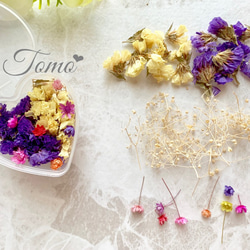 ドライフラワーアソート】花材③ ドライフラワー レジン ハーバリウム