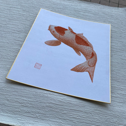 【アウトレット】鯉・珊瑚絵・色紙 2枚目の画像