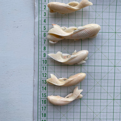 【5】御利益がありますように…5匹の鯉で【五鯉ごりやく…御利益】珊瑚鯉彫刻帯留 10枚目の画像