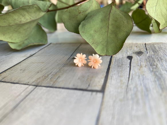 宝石珊瑚・花彫刻ピアス・匠花びら 2枚目の画像